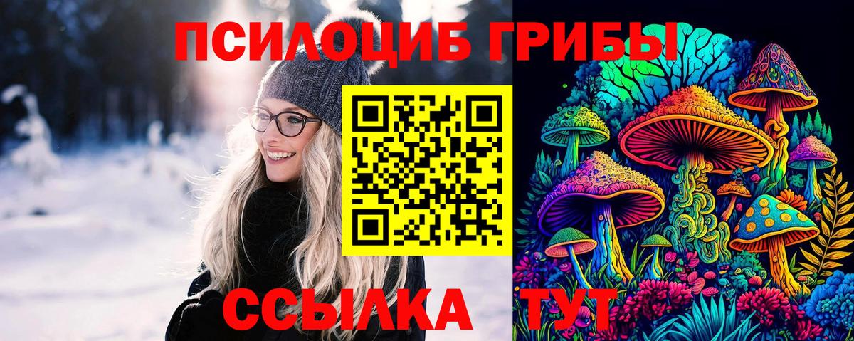 Псилоцибиновые грибы прущие грибы  Псилоцибиновые грибы Cubensis  Советская Гавань  Вход с VPN 
